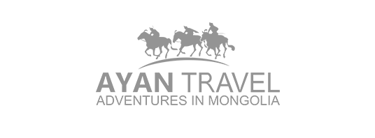 ayan travel gray logo